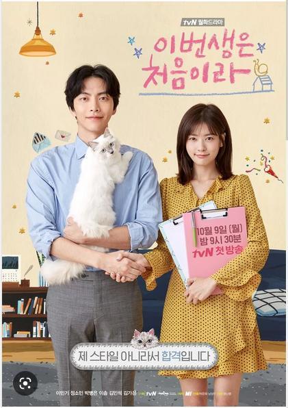 Because this is my first life (K-dorama) (2017) [16 Cap.]---ok